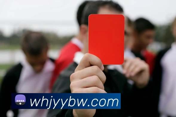 emc易倍发展历程